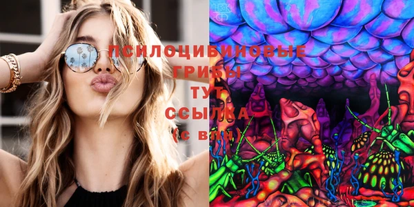 тгк Алексеевка