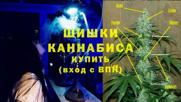 соль ск Алексин