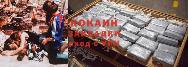 соль ск Алексин
