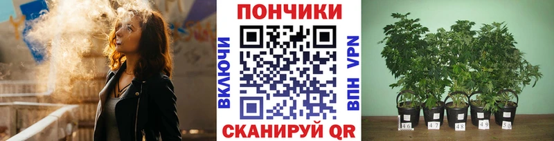 Конопля White Widow  МЕГА ССЫЛКА  Дзержинский 